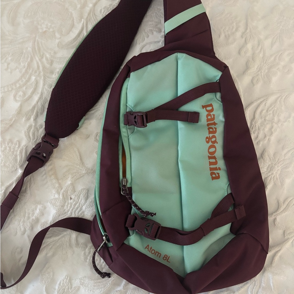 Patagonia Mint and Burgundy Sling Backpack